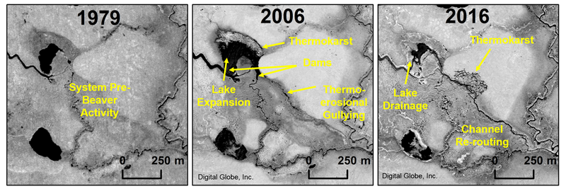 Images courtesy Benjamin Jones/Digital Globe